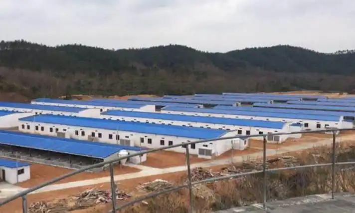 猪场建设必知的几大选址注意事项,小心避雷!