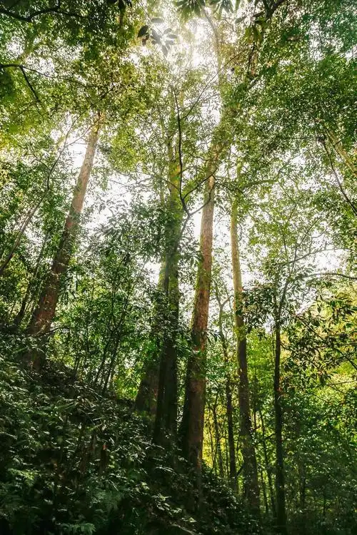 徐家寨藏在深山中的旅游明珠