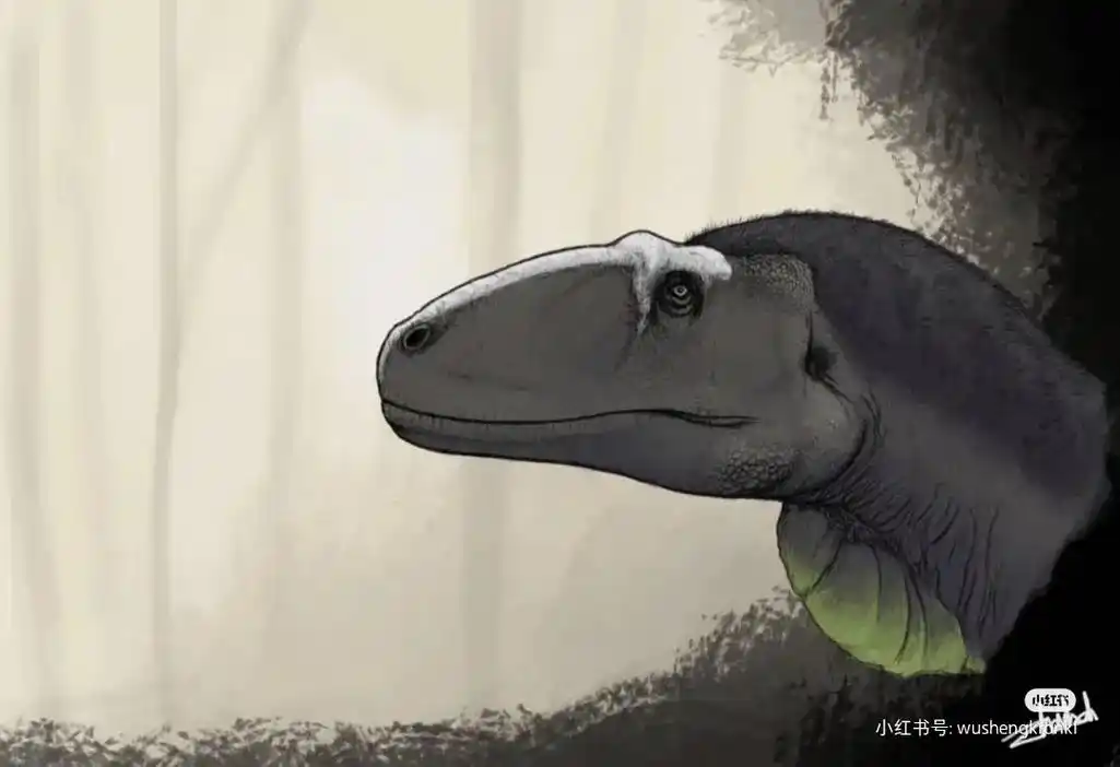 堇氏中华盗龙 - 抖音