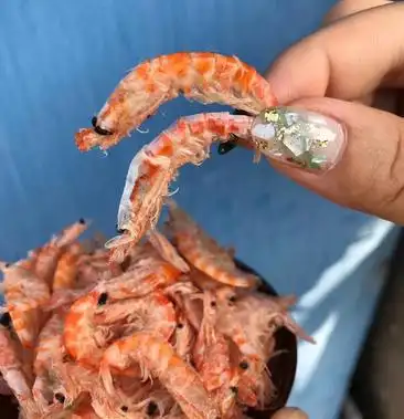 南极磷虾,深海南极磷虾,开袋即食