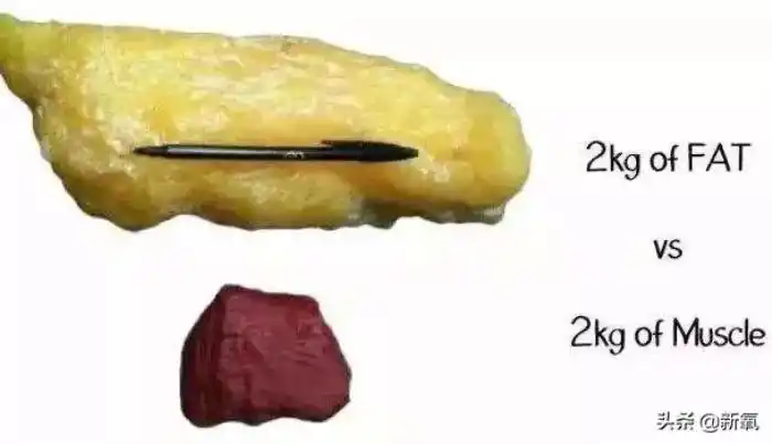 体型变化大,还是通过运动健康地甩掉2斤脂肪体型变化大呢?