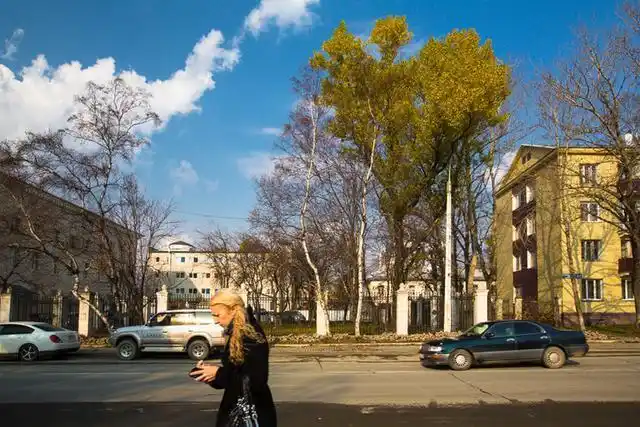 如今库页岛上共有43万人,大多数是俄罗斯移民,其中最大的城市南