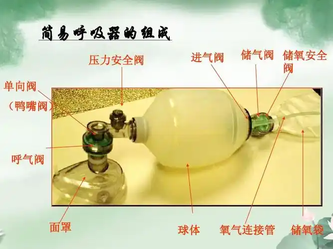 简易呼吸器的组成 压力安全阀 单向阀 (鸭嘴阀) 进气阀 储气阀 储氧