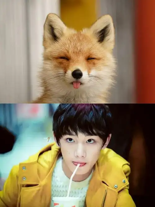 将丁程鑫的狐塑发扬光大