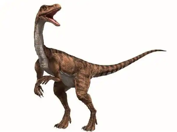 雷龙,雷龙身躯庞大,最主要的特点是拥有很长的脖子和尾巴,雷龙拥有