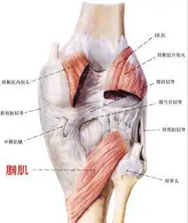 治膝不离腰—腘肌损伤针刀治疗立竿见影!