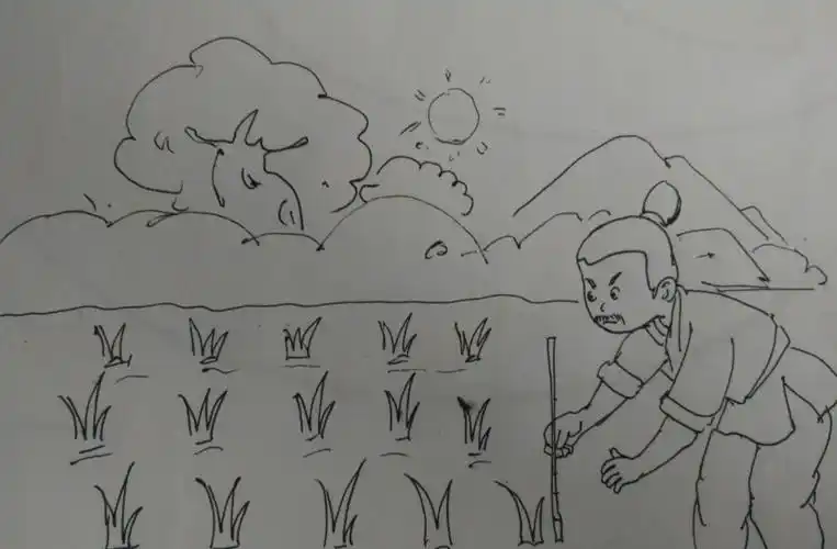 成语故事《揠苗助长》