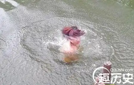 真实的水猴子事件水鬼水猴子真的会吃人