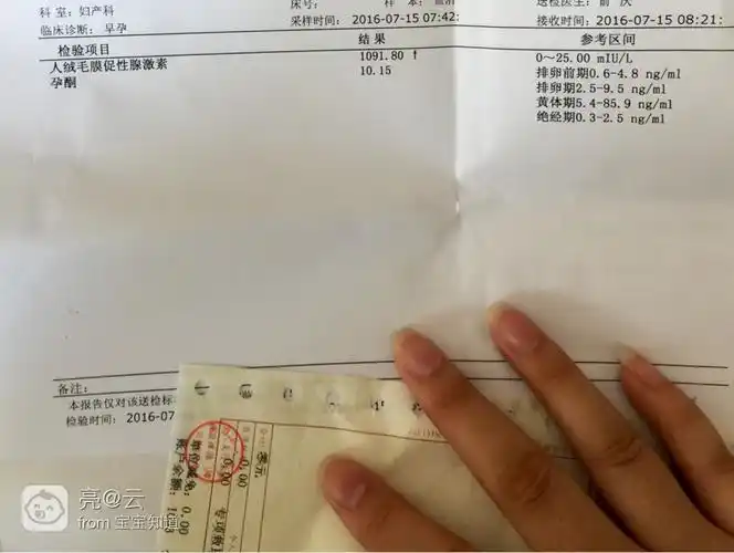 早孕三十三天左右的化验单