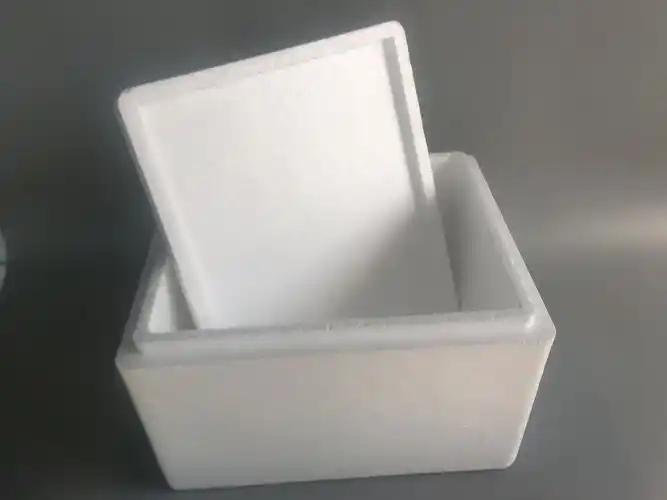 大d号泡沫箱装水果梨子梨子保鲜箱生鲜大号保温箱快递打包泡沫盒