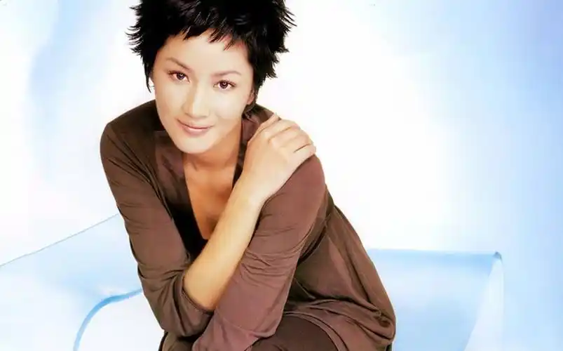 被誉为娱乐圈的大孝子为陪母亲过年三拒春晚却因车祸陷入低估