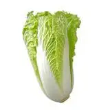 小芽白菜的营养价值,小芽白菜的功效作用_酵素巴巴