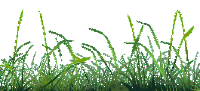 700_320gif 动态图 动图