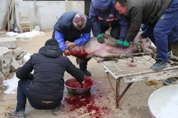 集结号~熊岳城杀猪菜活动