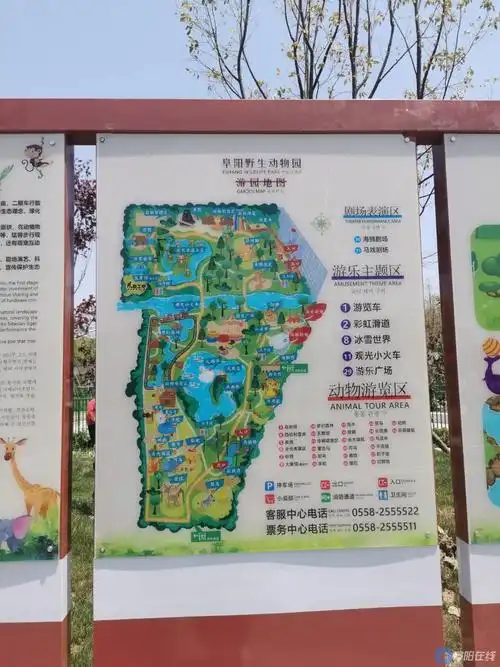 直达动物园,这点要点赞阜阳公交,旅游专列从生态园到动物园