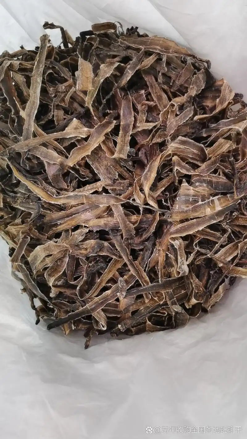 常年回收蚯蚓干货, 有不懂怎么加工的,可以随时咨询 #农村生活