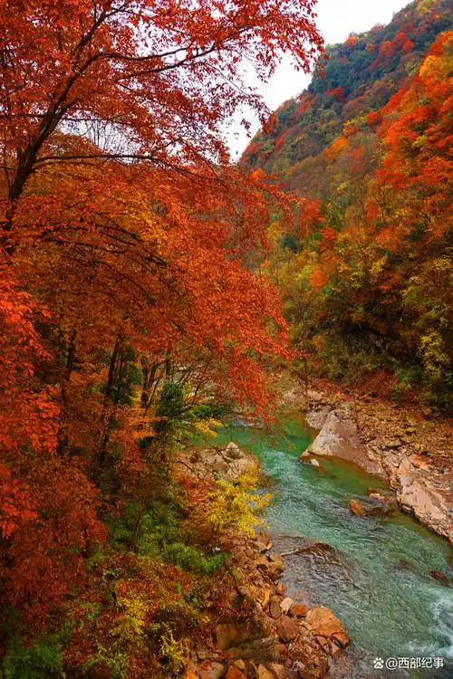 又是一年秋意浓,在汉中黎坪风景区,那盈盈秋水,倒映过多少望眼欲穿的