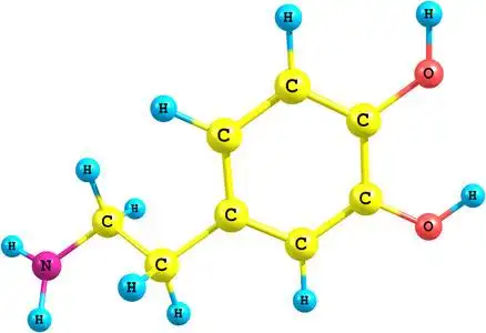 多巴胺图片