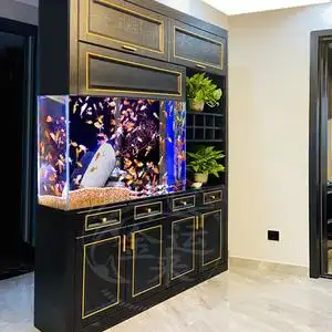 墙体鱼缸墙嵌入式