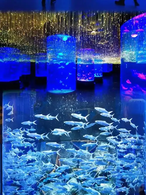 哈尔滨波塞冬海底世界 随便一拍就出来 真是太震撼了!#哈尔滨 - 抖音