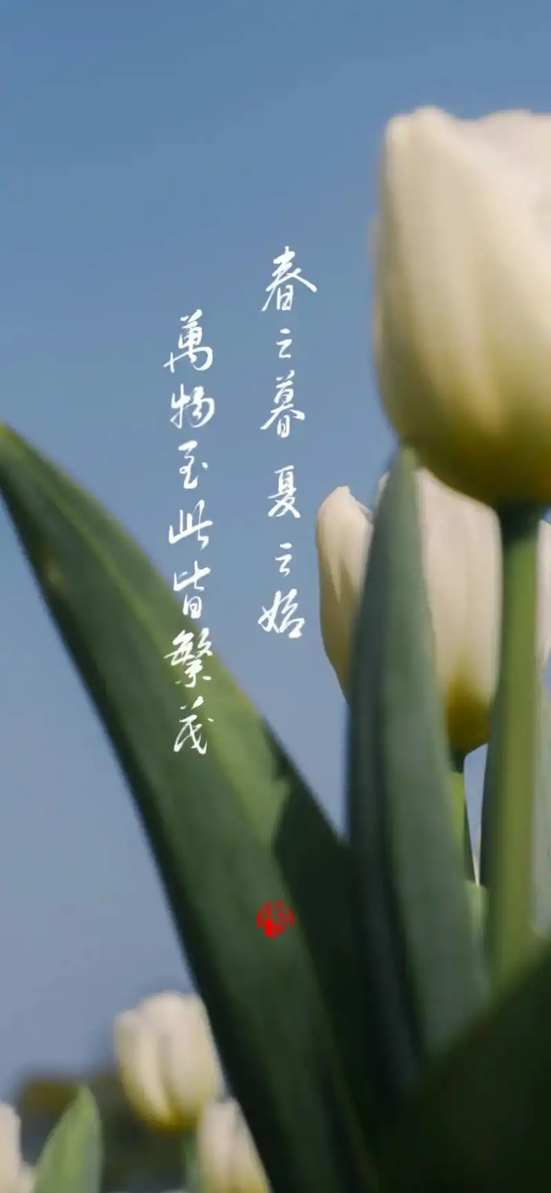 今日立夏#手机壁纸 #国风古韵 #唯美诗词 - 抖音
