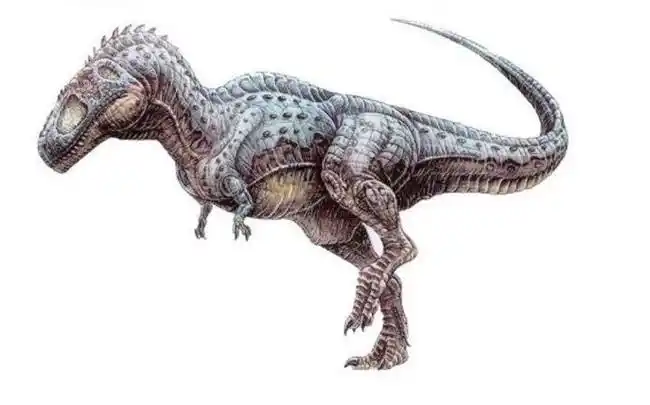 十大肉食恐龙排名 食肉恐龙的种类有哪些_排行榜