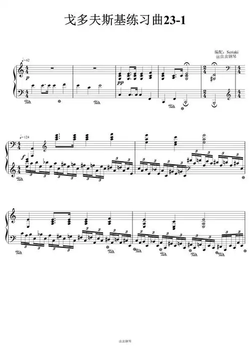 肖邦冬风练习曲钢琴谱戈多夫斯基