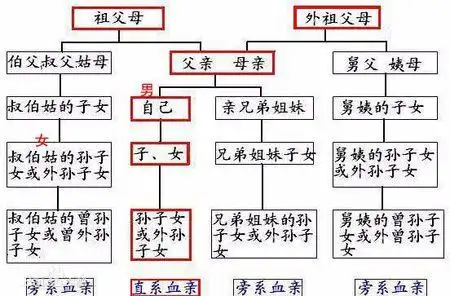 谈资而已 从生物学来说不是近亲了  但是你表兄弟跟你关系就有点复杂