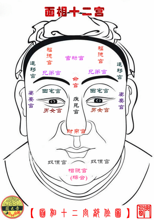 面相十二宫详解!【看相不求人】