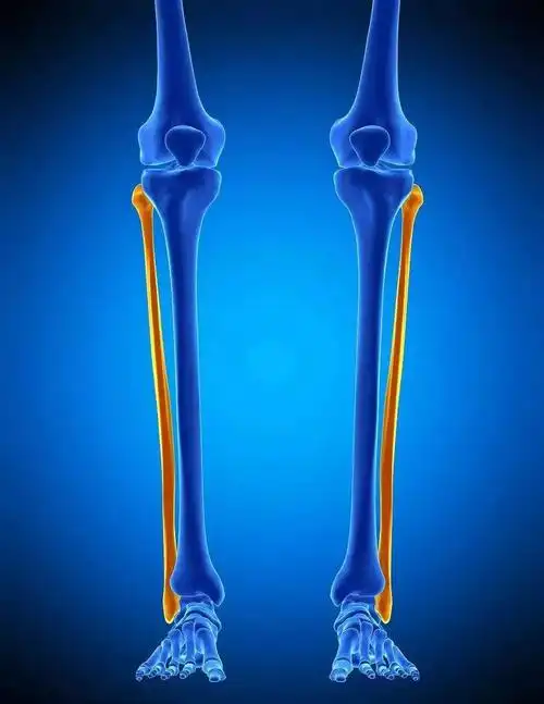 「运动康复」崴脚的胫腓关节正位(评估 手法)_腓骨