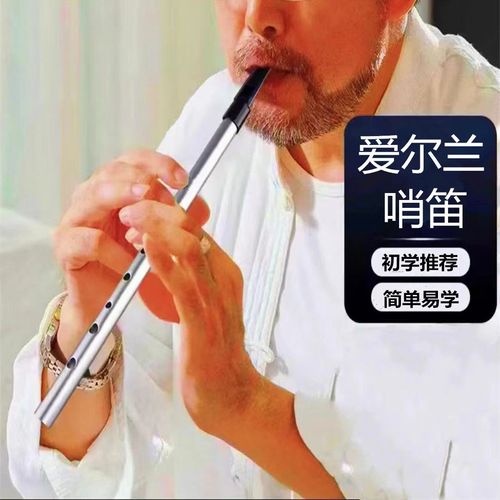 竖笛口哨笛长笛直吹笛子6孔成人初学者新手入门专业演奏乐器