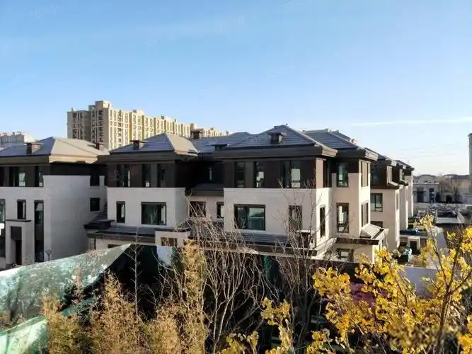 【29图】现房棠颂别墅 新中式联排合院 品质社区 户型方正 为您而选,