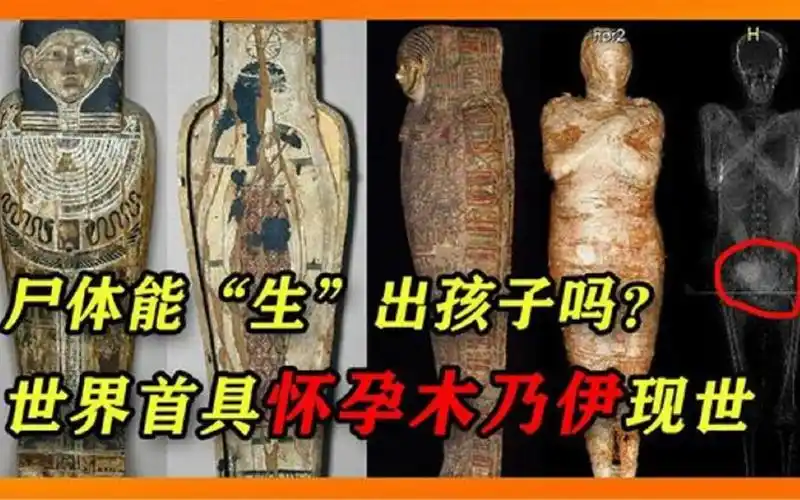 世界首具怀孕木乃伊现世,胎儿7个月大,尸体还能"生"出孩子吗
