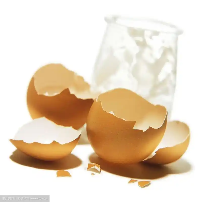 鸡蛋壳
