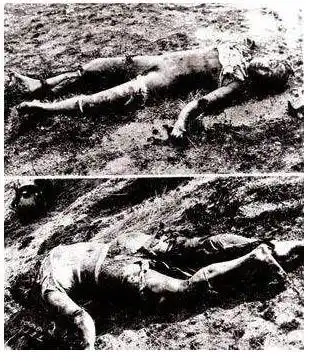 坠机幸存者为求生吃同伴尸体 15名食人族竟被奉为英雄