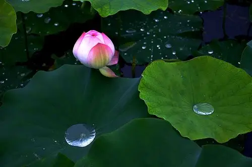 图片发自简书app