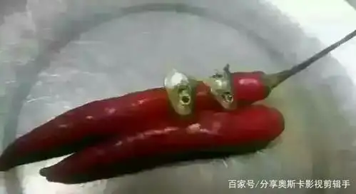 gif搞笑趣图:这就是传说中的剁椒鱼头