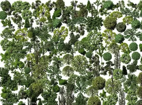 高清鸟瞰植物图片