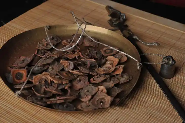 每天学一味中药柿蒂