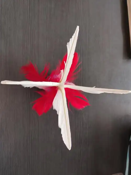 突然觉得一个毽子怎么这么好看,红的像火,白的是羽毛,一切都那么生机