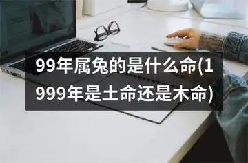 99年属兔的是什么命(1999年是土命还是木命)