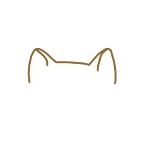 先画上胖猫咪两只小小的耳朵.