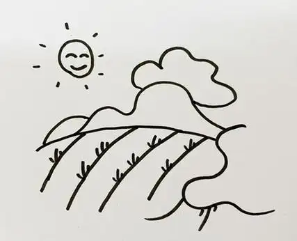 稻田怎么画简笔画图片
