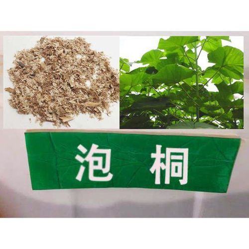 新采林木树种 泡桐种子 空桐木 水桐 桐木树苗木植物 高芽率 包邮