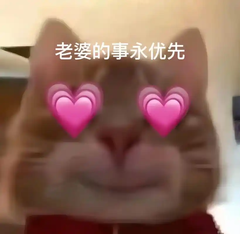 记住了吗#歪嘴小猫 #歪嘴小猫表情包 #艾特你想艾特的人 - 抖音