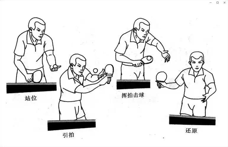 【乒乓球】嗨,来学发球啦!_动作_正手_身体