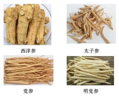 手把手教你认识各种"参"