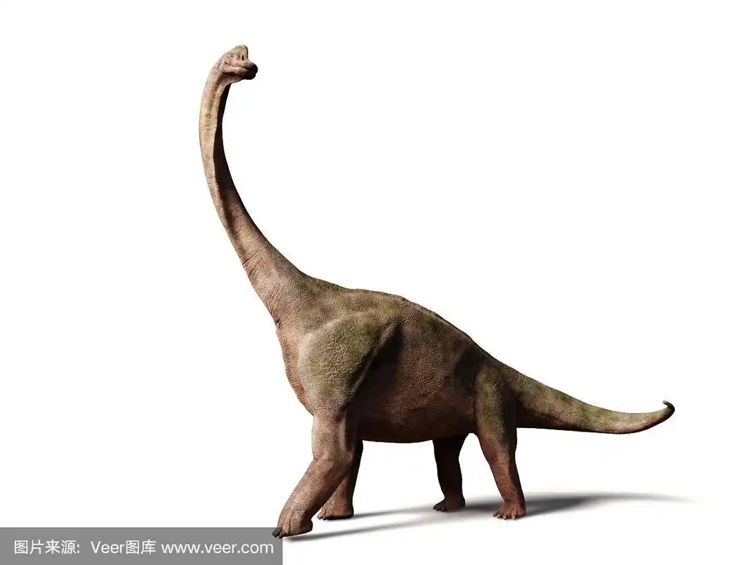 来自晚侏罗世的高胸腕龙(白色背景上的3d插图)
