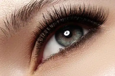 美丽的女人眼睛与自然长长的睫毛.射击的宏.