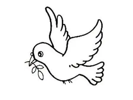 鸽子简笔画图画